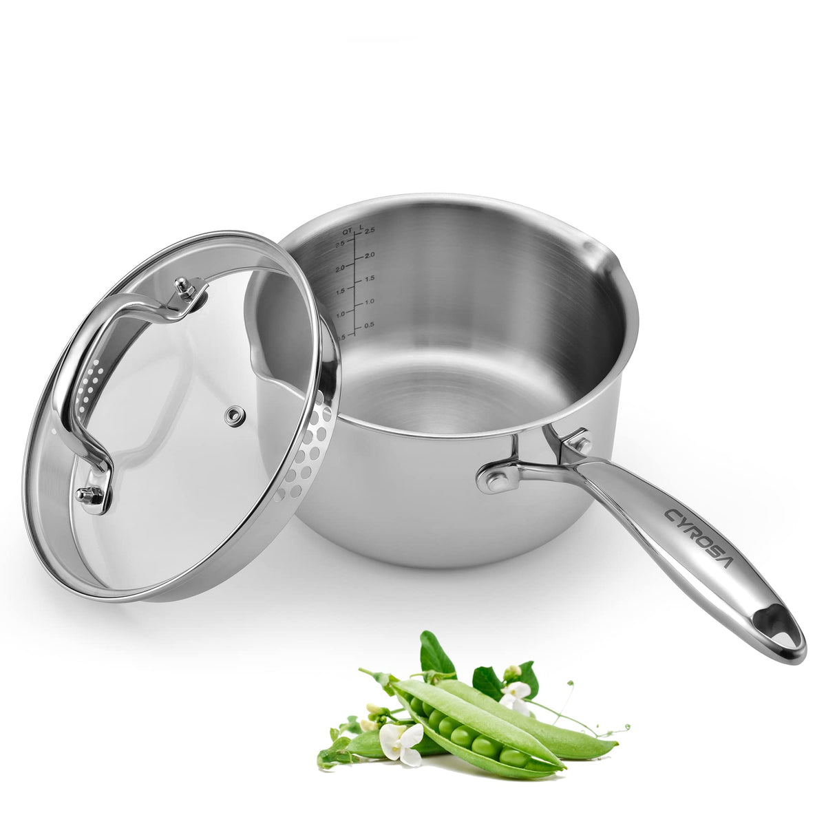 Stainless Steel Saucepan with Glass Lid, 2.0 Quart Multipurpose Sauce Pan, Sauce Pot with for Easy Pour with Ergonomic Handle